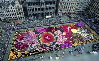 Гранд Плэйс представит самый большой цветочный ковер в мире