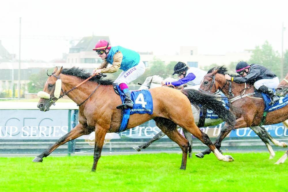 Шестые гонки Кубка арабских лошадей в Остенде | Новости из-за границы