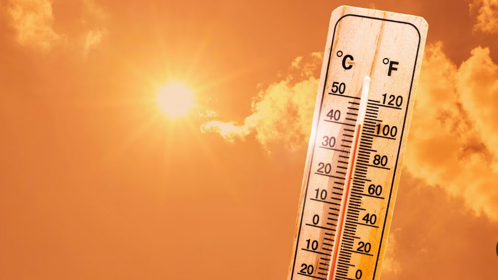 За прошедшие двенадцать месяцев было зафиксировано самое теплое время в истории, вызывая беспокойство из-за изменения климата