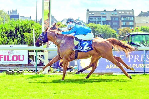 Ал Рифа выиграл бельгийский этап Кубка шейха Заида