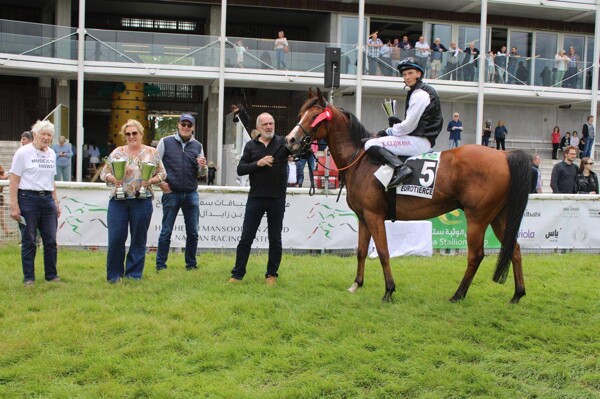 Коои Клементс на мере Зарка выигрывает кубок на чемпионате по прыжкам на лошадях арабской породы в Бельгии