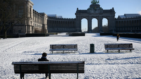 Belgian Investigators Expose Royal Family Impersonators